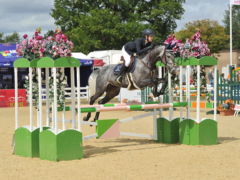 KBIS British Equestrian Insurance to Continue Support of Senior British Novice Championship KBIS British Equestrian Insurance to Continue Support of Senior British Novice Championship